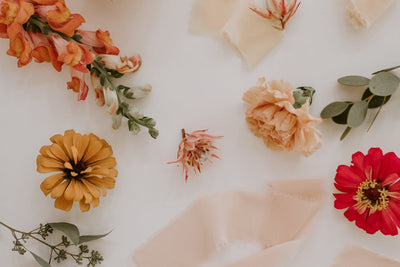 Cup menstruelle utilisation : guide complet pour les débutantes