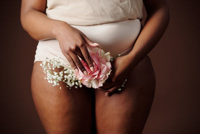 2/4 Le Cycle menstruel. La phase folliculaire
